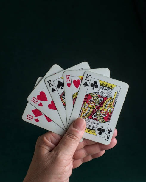 ssbet77 মোবাইল অ্যাপ্লিকেশন ইন্টারফেস স্ক্রিনশট
